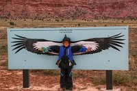 IMG 9558-HDR  On Monday, 4 of us used our Coyote Buttes South (CBS) hiking permits that we had won in a BLM lottery on Sunday monrning.  On our drive to CBS we stopped at the viewing area for watching Condors being released.  The day was verrry chilllly and windy.  Here, Little Joe compares his arm span to the wing span of Eagles and Condors.