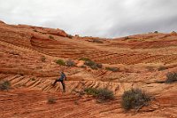 IMG 9642-HDR(3)  There are many places that resemble "The Wave" in Coyote Buttes North.