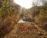 3. Badger Springs Trail and Glyphs (Feb 20, 2018)