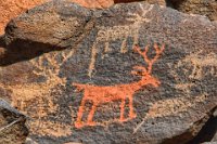 5. Squaw Creek Ruins and Glyphs (November 27, 2018)