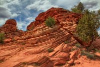 IMG 8933-HDR(3)  Some red rocks at the turnaround/end of the road.