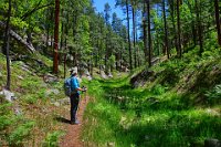 Clover Creek Canyon