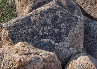 IMG 0881-HDR(3)  Sometimes it is hard to tell if there is a legitimate petroglyph.