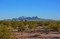 BobsPIcDSC 8548-HDR(3)  Looking back to the north, Picacho Peak is east to spot.  If you've only passed this peak driving on I-10, you have seen the other side.