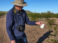 IMG 6144-HDR  BobF finds a potsherd, but of much later vintage that the potsherds we found up in the Agua Fria National Monument.