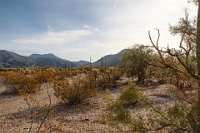 IMG 0487-HDR  The desert terrain.