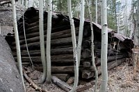 HAZRandallSchulhauser2007  Veit Cabin photographed by R. Schulhauser  and posted on hikearizona.com  in 2007 (see http://hikearizona.com/photo.php?ZIP=39804) .  Once the logs begin to rot, the winter snow loads in this area must take a heavy toll.