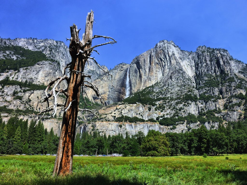 yosemite17.jpg